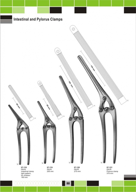 Intestinal and Pylorus Clamps